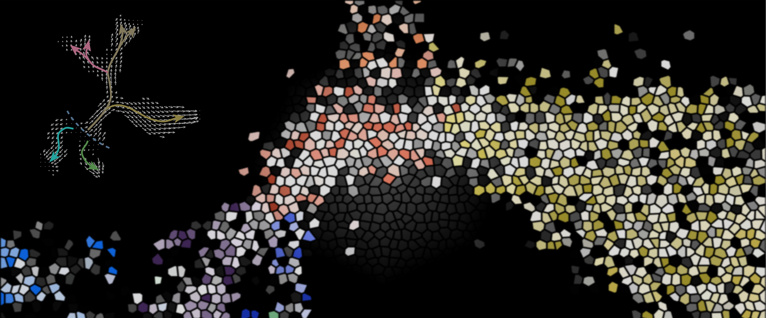 Single Cell Genomics Day!